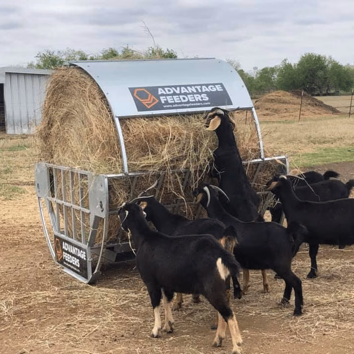 Cradle Hay Feeder (Flat Packed) - Image 3