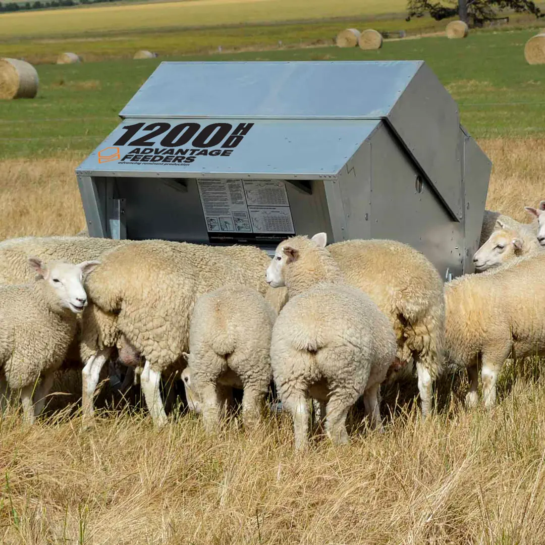 1200HD Grain Feeder - Image 4