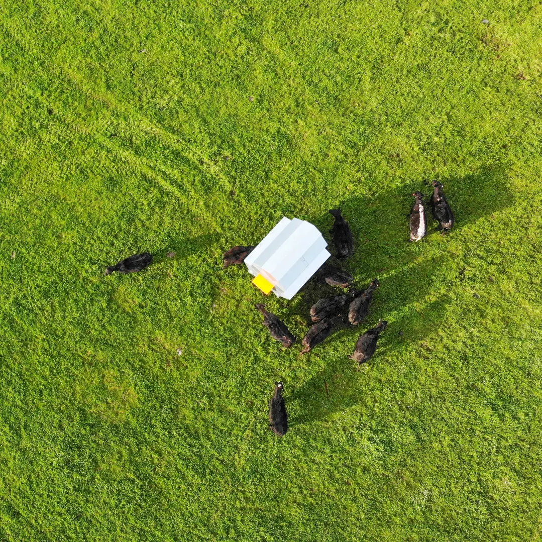 8000HD Grain Feeder - Image 3